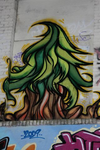 Graffiti_Franklin_Oak_6